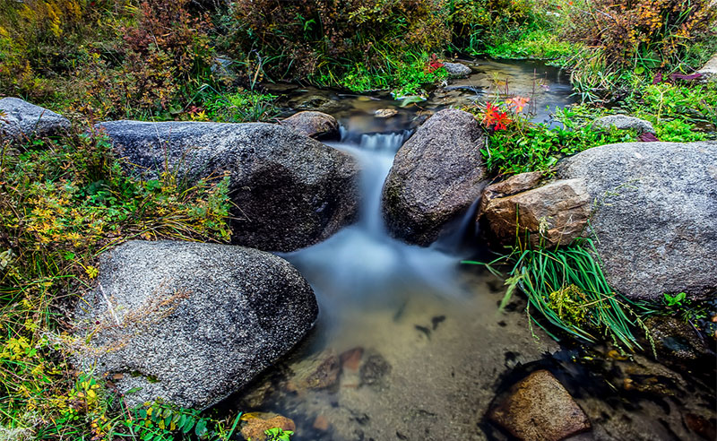 mongolia fall photos